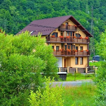 Hotel Casa Vadeanu à Sighetu Marmaţiei Extérieur photo