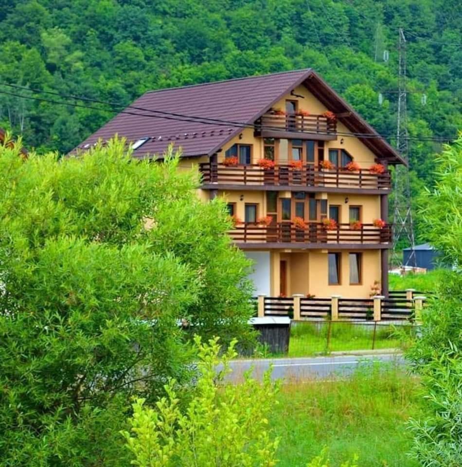 Hotel Casa Vadeanu à Sighetu Marmaţiei Extérieur photo