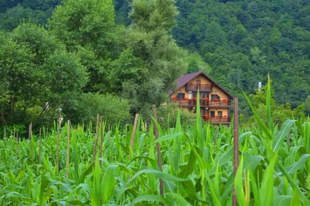 Hotel Casa Vadeanu à Sighetu Marmaţiei Extérieur photo