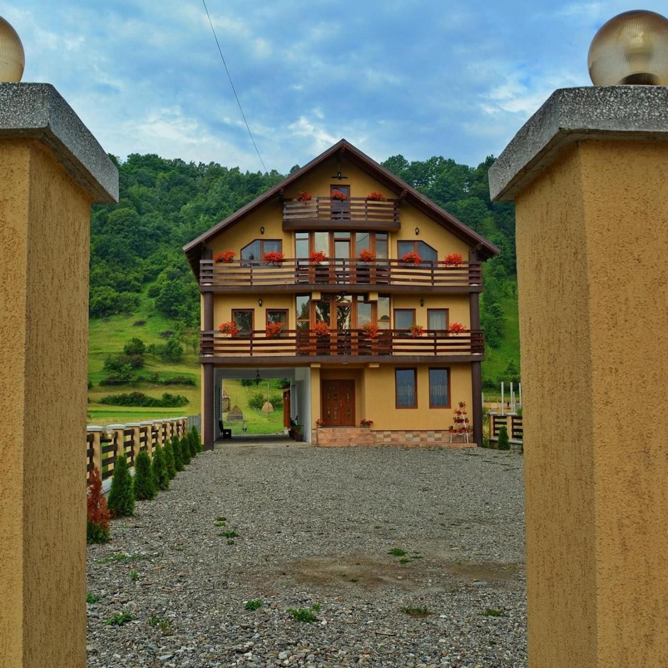 Hotel Casa Vadeanu à Sighetu Marmaţiei Extérieur photo
